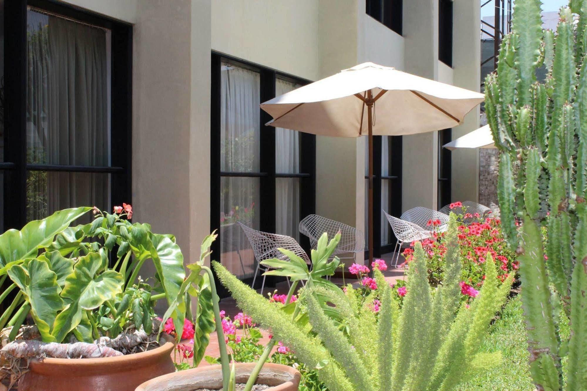 Holiday Suites Tacna Buitenkant foto